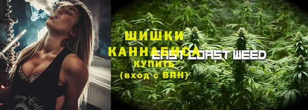 прущие крисы Балахна