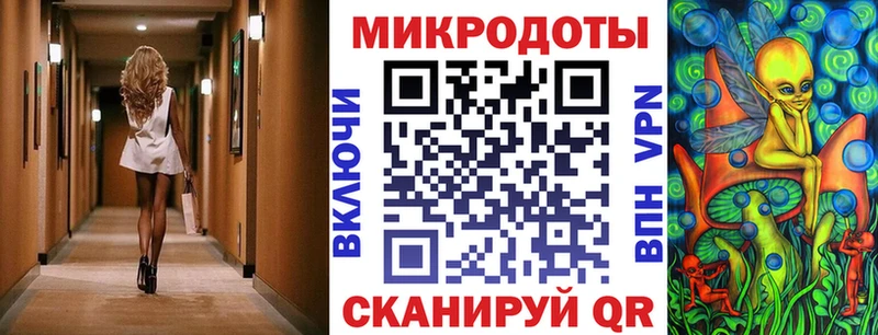 как найти закладки  Новый Уренгой  это наркотические препараты  Псилоцибиновые грибы Psilocybine cubensis 